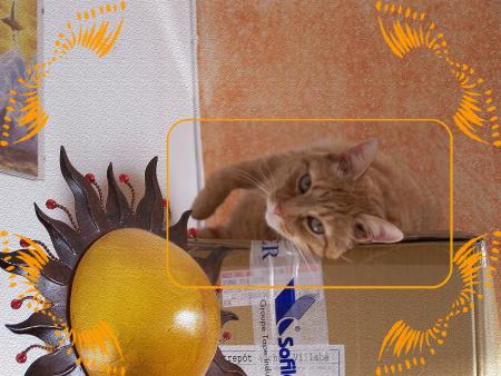 Cela n'arr�te pas !