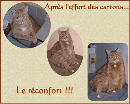 Cela va me rendre folle !