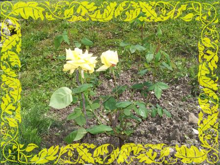 Un apr�s-midi dehors