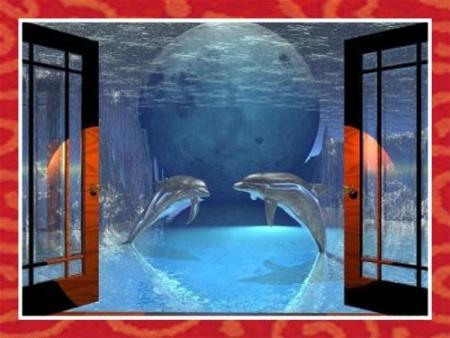 Une fen�tre ouverte sur le monde