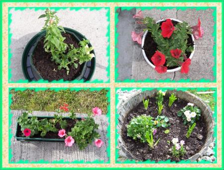 Quand le soleil revient...