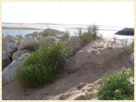 Ne pas avoir peur du changement