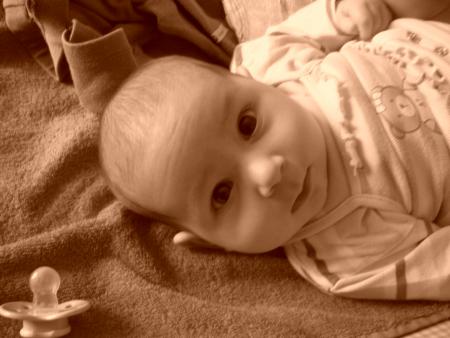 Suite p�riode d'adaptation