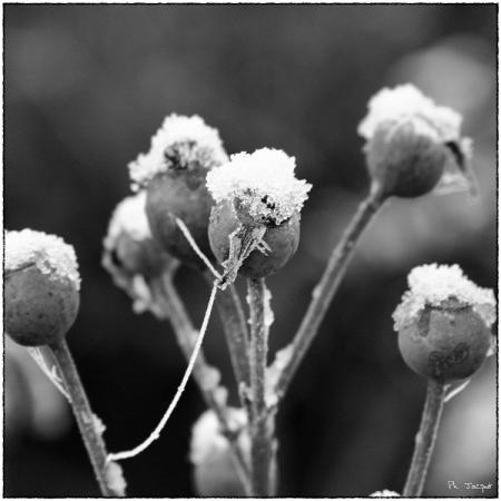 Ca caille pas chaud !