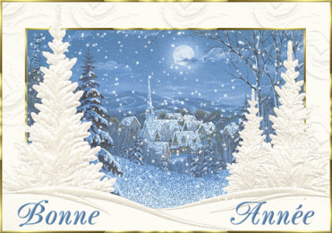 Bonne Ann�e 2008